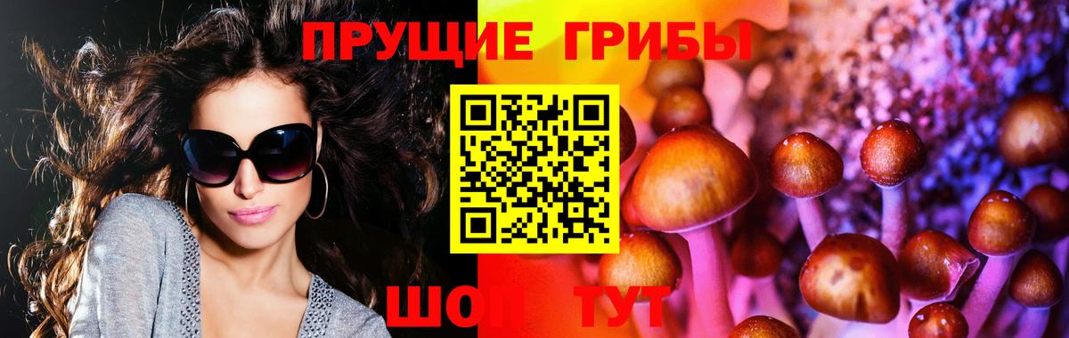 Галлюциногенные грибы GOLDEN TEACHER Лиски